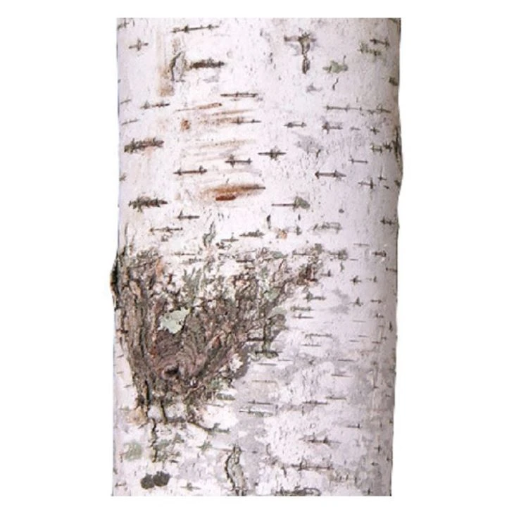 Artificial White Paper Birch Tree