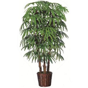 Umjetne palme Ardissa