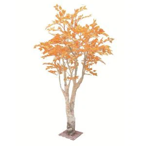 Vještačka bela knjiga Birch Tree