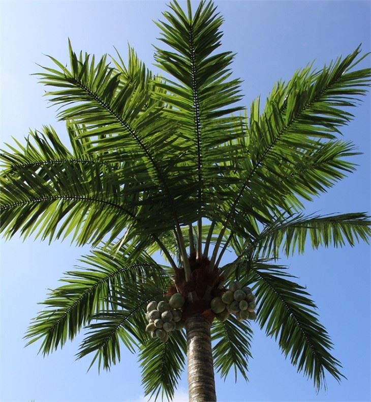 Artificial Coco Trees